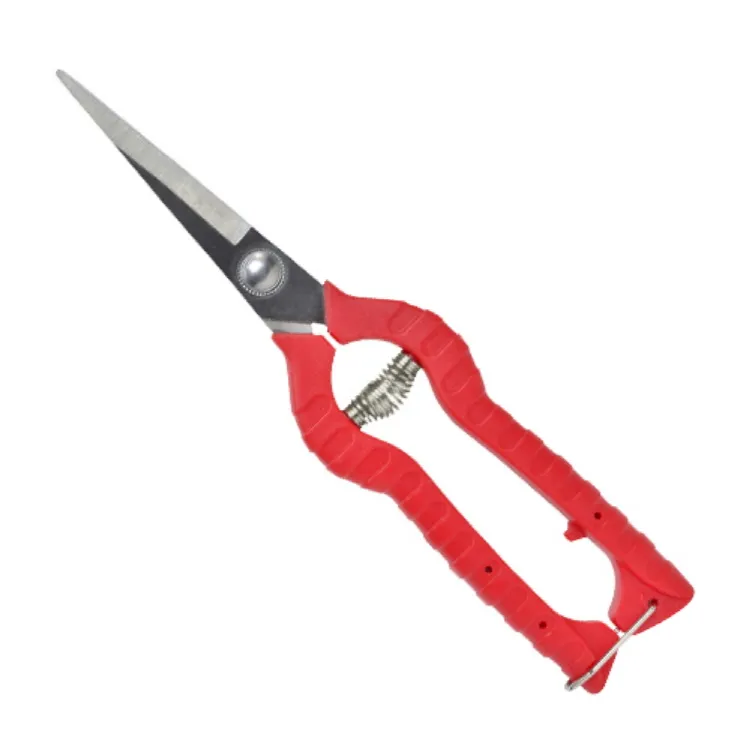 케이디와이 적과가위