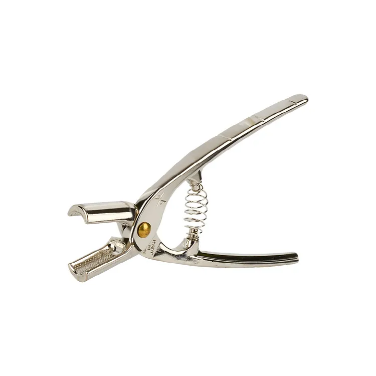 미마츠 열매까기